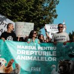 Marșul Pentru Drepturile Animalelor 2024 în București: se solicită acțiuni imediate pentru bunăstarea animalelor