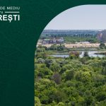 Poluarea aerului atinge niveluri alarmante în București, mai ales din cauza traficului rutier