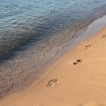 Litoralul pentru toți, ediția septembrie 2025: cele mai ieftine și cele mai scumpe locuri de cazare