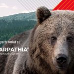 Campania Ascultă ursul din tine și fă bine, la al patrulea an: Ursus sprijină Fundația Conservation Carpathia