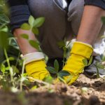 În zona ta, ediția a 3-a, pentru bucureștenii care vor să rezolve probleme de mediu în cartierul lor