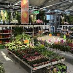 Hornbach Sibiu: îmbunătățirea eficienței energetice a clădirii și extinderea departamentului de grădină