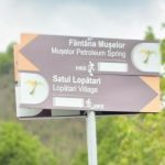 Cum s-a reflectat parteneriatul dintre Ursus Breweries și Asociația Ținutul Buzăului în 2025